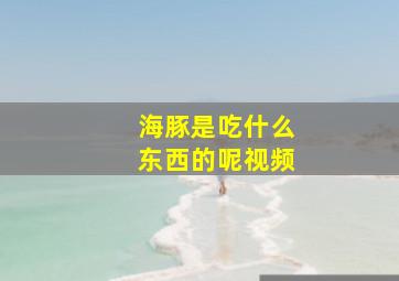 海豚是吃什么东西的呢视频