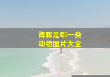 海豚是哪一类动物图片大全