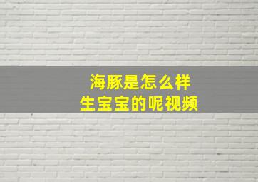 海豚是怎么样生宝宝的呢视频