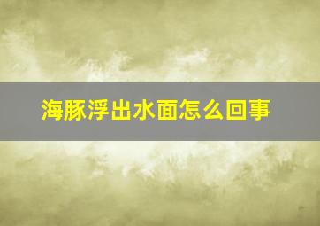 海豚浮出水面怎么回事