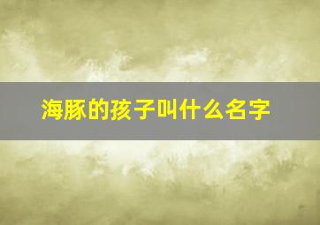 海豚的孩子叫什么名字