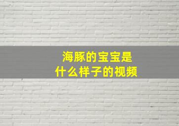 海豚的宝宝是什么样子的视频