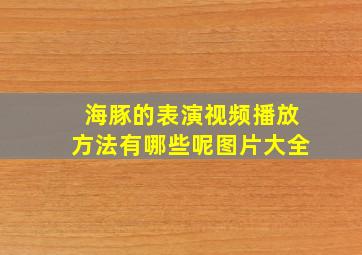 海豚的表演视频播放方法有哪些呢图片大全