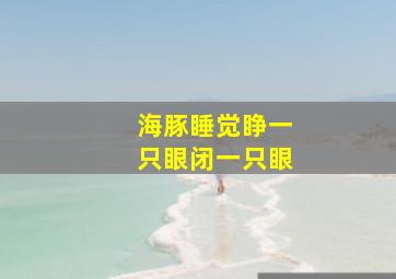 海豚睡觉睁一只眼闭一只眼