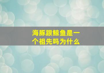 海豚跟鲸鱼是一个祖先吗为什么