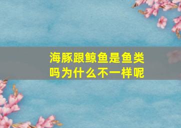 海豚跟鲸鱼是鱼类吗为什么不一样呢