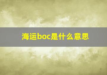 海运boc是什么意思