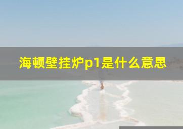 海顿壁挂炉p1是什么意思