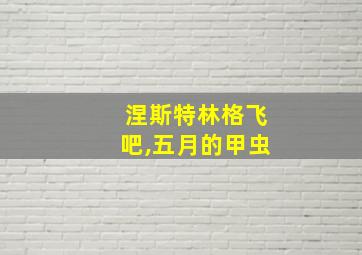 涅斯特林格飞吧,五月的甲虫