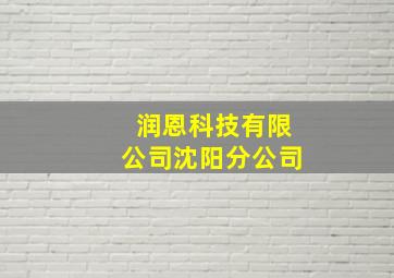 润恩科技有限公司沈阳分公司