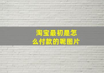 淘宝最初是怎么付款的呢图片