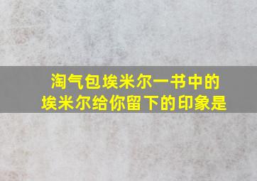 淘气包埃米尔一书中的埃米尔给你留下的印象是