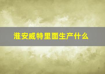 淮安威特里面生产什么