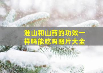 淮山和山药的功效一样吗能吃吗图片大全