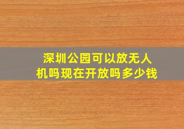 深圳公园可以放无人机吗现在开放吗多少钱