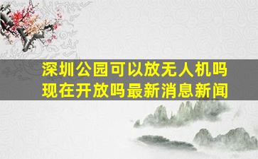 深圳公园可以放无人机吗现在开放吗最新消息新闻