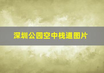 深圳公园空中栈道图片