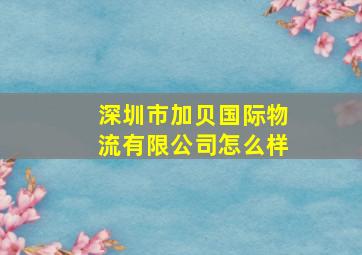 深圳市加贝国际物流有限公司怎么样