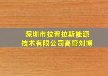 深圳市拉普拉斯能源技术有限公司高管刘博