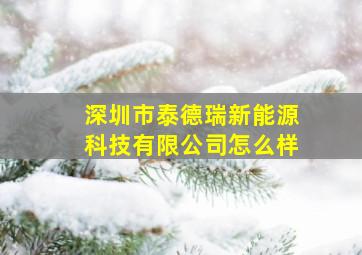 深圳市泰德瑞新能源科技有限公司怎么样