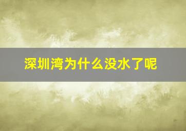 深圳湾为什么没水了呢