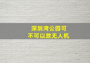 深圳湾公园可不可以放无人机