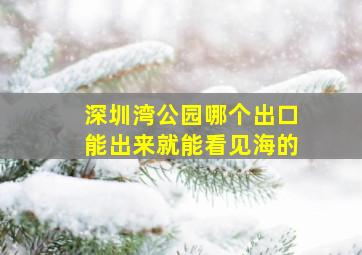 深圳湾公园哪个出口能出来就能看见海的