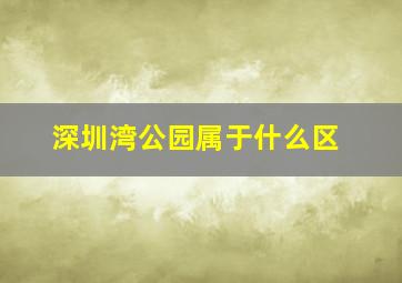 深圳湾公园属于什么区