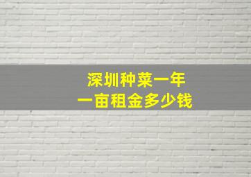 深圳种菜一年一亩租金多少钱