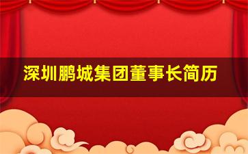 深圳鹏城集团董事长简历