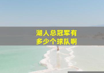 湖人总冠军有多少个球队啊