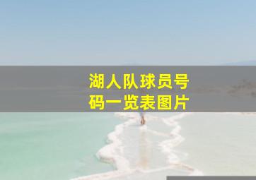 湖人队球员号码一览表图片