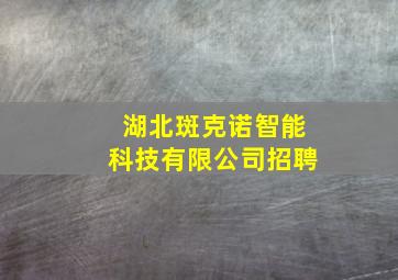 湖北斑克诺智能科技有限公司招聘