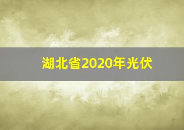 湖北省2020年光伏