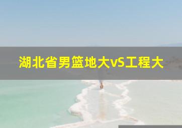 湖北省男篮地大vS工程大