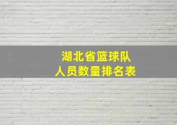 湖北省篮球队人员数量排名表