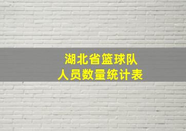 湖北省篮球队人员数量统计表