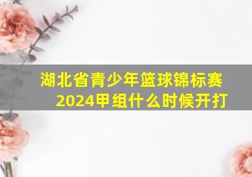 湖北省青少年篮球锦标赛2024甲组什么时候开打