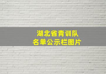 湖北省青训队名单公示栏图片