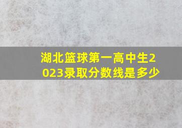 湖北篮球第一高中生2023录取分数线是多少