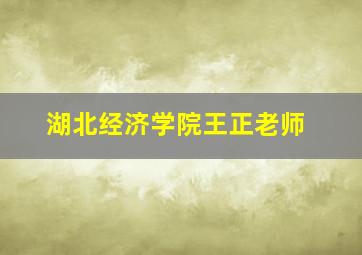 湖北经济学院王正老师