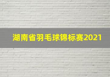 湖南省羽毛球锦标赛2021