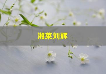 湘菜刘辉