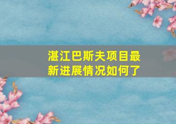 湛江巴斯夫项目最新进展情况如何了