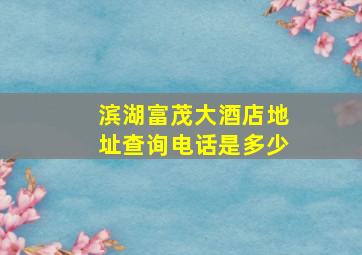 滨湖富茂大酒店地址查询电话是多少