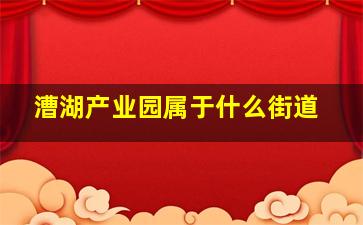 漕湖产业园属于什么街道