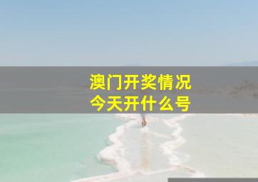 澳门开奖情况今天开什么号