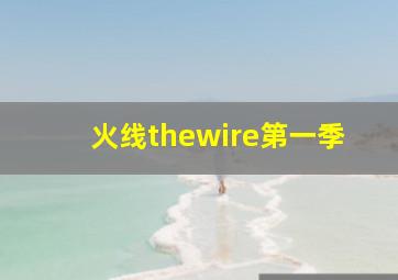 火线thewire第一季