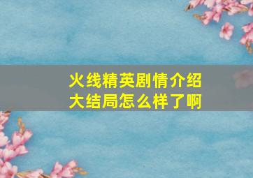 火线精英剧情介绍大结局怎么样了啊