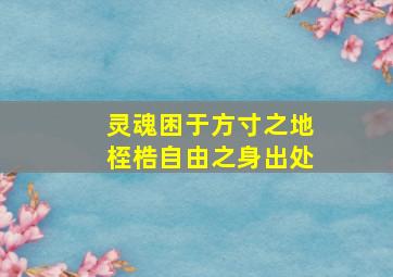 灵魂困于方寸之地桎梏自由之身出处